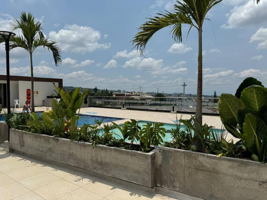 Lujoso Central, Nuevo Y Comodo Apartamento Pereira